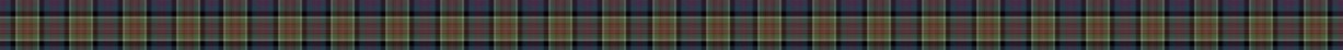 Franconian Highlanders Dudelsack Band Metropolregion Nürnberg Fürth Erlangen